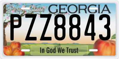 GA license plate PZZ8843