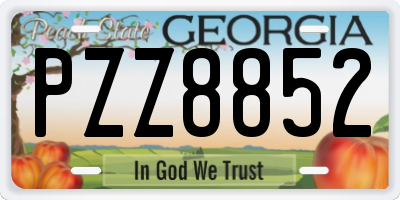 GA license plate PZZ8852
