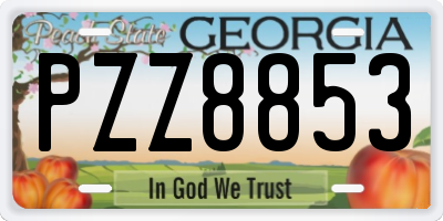 GA license plate PZZ8853
