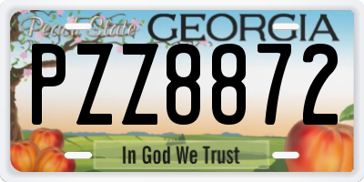 GA license plate PZZ8872