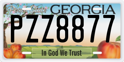 GA license plate PZZ8877