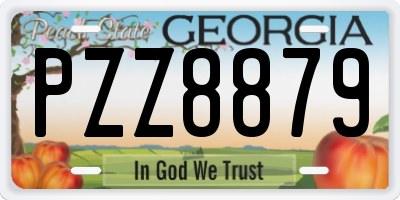 GA license plate PZZ8879
