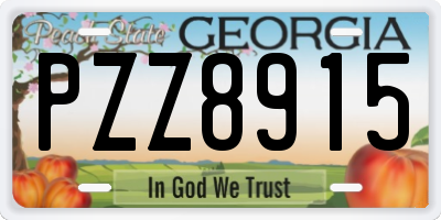 GA license plate PZZ8915