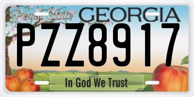 GA license plate PZZ8917