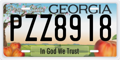 GA license plate PZZ8918