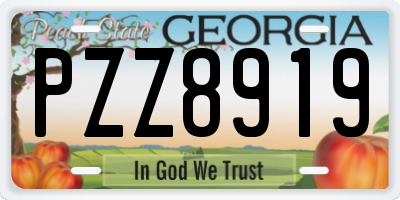 GA license plate PZZ8919