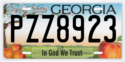 GA license plate PZZ8923