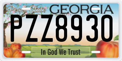 GA license plate PZZ8930