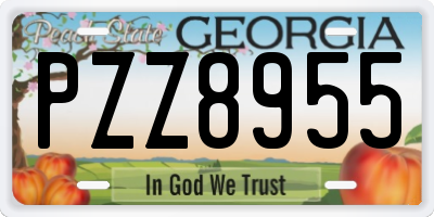 GA license plate PZZ8955