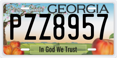 GA license plate PZZ8957