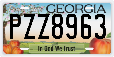GA license plate PZZ8963
