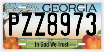 GA license plate PZZ8973