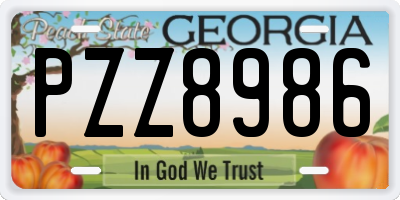 GA license plate PZZ8986