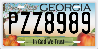 GA license plate PZZ8989