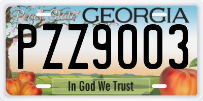 GA license plate PZZ9003