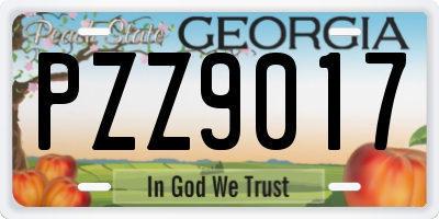 GA license plate PZZ9017