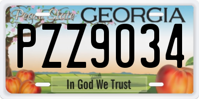 GA license plate PZZ9034
