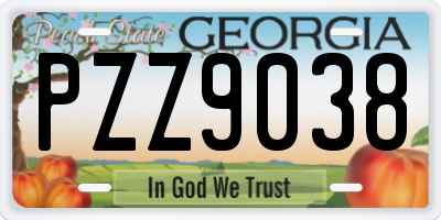 GA license plate PZZ9038