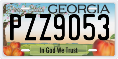 GA license plate PZZ9053