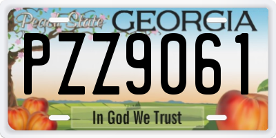GA license plate PZZ9061