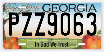 GA license plate PZZ9063