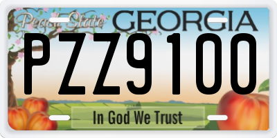 GA license plate PZZ9100