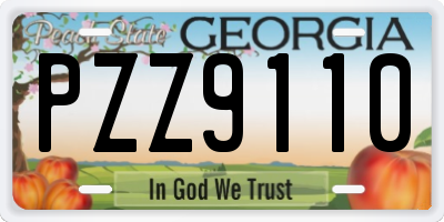 GA license plate PZZ9110