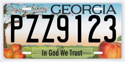 GA license plate PZZ9123