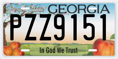 GA license plate PZZ9151