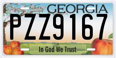 GA license plate PZZ9167