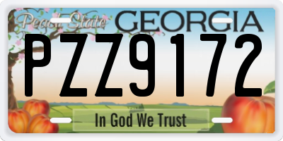 GA license plate PZZ9172