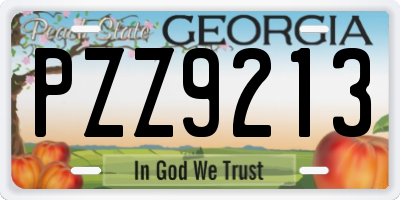 GA license plate PZZ9213