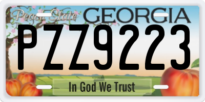 GA license plate PZZ9223