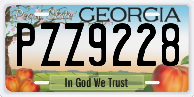 GA license plate PZZ9228