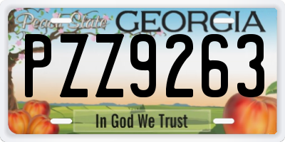GA license plate PZZ9263
