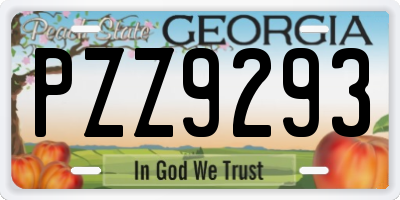 GA license plate PZZ9293