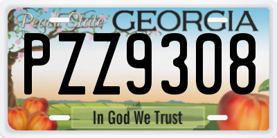 GA license plate PZZ9308