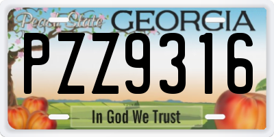 GA license plate PZZ9316