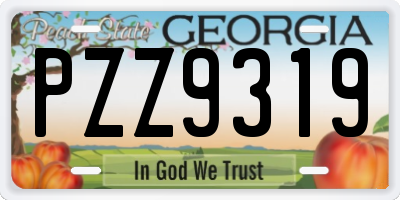 GA license plate PZZ9319
