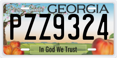 GA license plate PZZ9324
