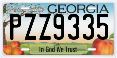 GA license plate PZZ9335