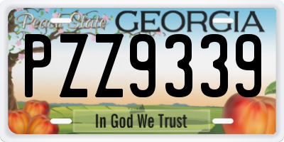 GA license plate PZZ9339