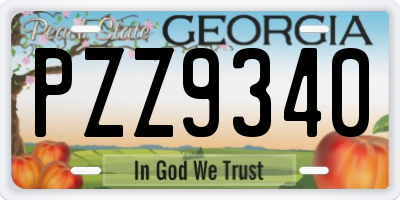 GA license plate PZZ9340