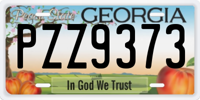 GA license plate PZZ9373
