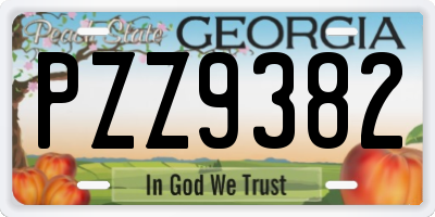 GA license plate PZZ9382
