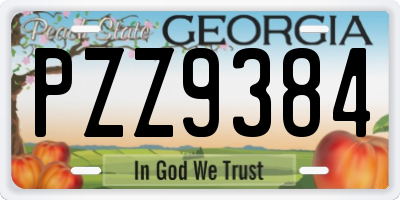 GA license plate PZZ9384