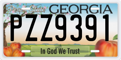 GA license plate PZZ9391
