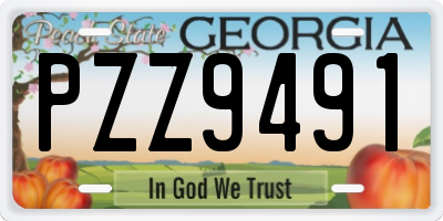GA license plate PZZ9491