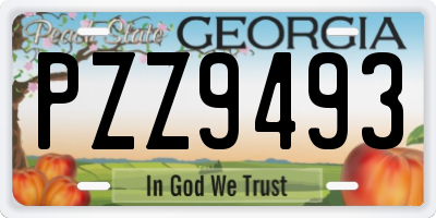 GA license plate PZZ9493