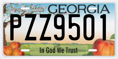 GA license plate PZZ9501